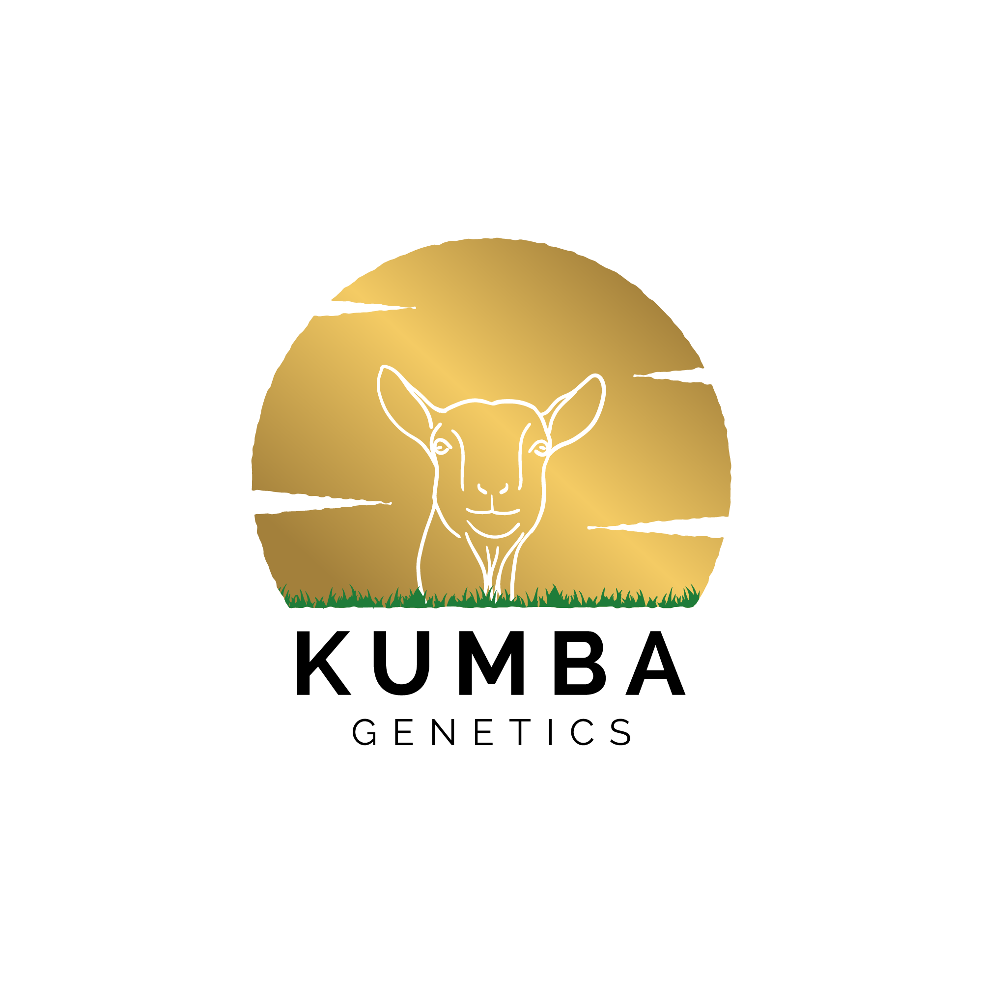 Kumba Genetics